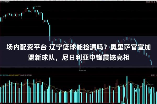 场内配资平台 辽宁篮球能捡漏吗？奥里萨官宣加盟新球队，尼日利亚中锋震撼亮相